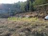 Terreno Agricolo in vendita a Albissola Marina in via delle industrie - 10, Foto 10