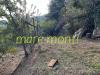 Terreno Agricolo in vendita a Albissola Marina in via delle industrie - 05, Foto 5