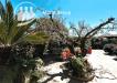 Villa in vendita con giardino a Ardea in via tanaro 31 - 09, Foto 9