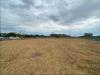 Terreno Agricolo in affitto a Roma in via del fosso di santa maura - 05, Foto 5