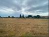 Terreno Agricolo in affitto a Roma in via del fosso di santa maura - 06, Foto 6