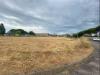 Terreno Agricolo in affitto a Roma in via del fosso di santa maura - 07, Foto 7