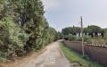 Appartamento in vendita con giardino a Rignano Flaminio in via montaroni 4 - 03, Foto 5