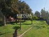 Villa in vendita con giardino a Sabaudia in strada formicosa - 05, Foto 5