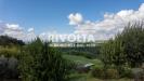 Villa in vendita con giardino a Collevecchio in via roane - 02, Foto 2