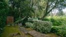 Villa in vendita con giardino a Monte Argentario in localit le piane - 06, Foto 6