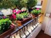 Appartamento in affitto con box a Monte Argentario in via tre forti - 04, Foto 4