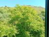 Appartamento bilocale in affitto a Monte Argentario in via privata - 07, Foto 7