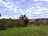 Terreno Agricolo in vendita a Roma in via anagnina - 04, Foto 4