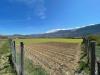 Terreno Agricolo in vendita a L'Aquila in via cippari snc - 03, Foto 3