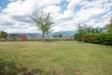 Villa in vendita con giardino a Castelnuovo di Garfagnana - 10, DSC_9573.jpg