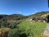 Villa in vendita con giardino a Pescaglia - 04, WhatsApp Image 2025-10-07 at 09.57.07.jpeg