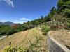 Villa in vendita con giardino a Barga - 06, IMG_6488.JPG