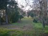 Villa in affitto con giardino a Ravenna in via ravegnana - 02, Foto 2