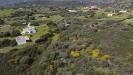 Terreno Agricolo in vendita a Golfo Aranci in sa curi snc - 03, Foto 3