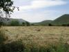 Terreno Agricolo in vendita a Fondi - 06