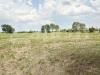 Terreno Agricolo in vendita a Teolo - 05, WhatsApp Image 2025-05-13 at 12.12.02.jpg