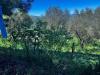 Casa indipendente in vendita con giardino a Montagano - 04, 17650449-77a1-42d0-93bf-8546d750658a.jpeg
