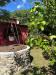 Rustico in vendita con giardino a Monteroduni - 02, WhatsApp Image 2026-07-02 at 16.48.12.jpeg