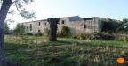 Villa in vendita con giardino a Noto in contrada c.da falconara snc - 06, Caseggiato C.da Falconara 06