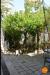 Casa indipendente in vendita con giardino a Noto in via pier capponi 18 - 04, Casa in centro storico con giardino via P. Capponi