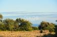 Terreno Agricolo in vendita a Avola in contrada meti 1 - 05, Terreno agricolo in c.da Meti 06
