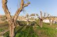 Villa in vendita a Noto in c.da vaddeddi 1 - 06, Foto 6