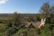 Terreno Agricolo in vendita a Noto - 03, Foto 3