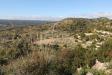 Terreno Agricolo in vendita a Noto in c.da renna 1 - 04, Foto 4