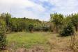 Terreno Agricolo in vendita a Noto - 04, Foto 4