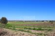 Terreno Agricolo in vendita a Noto in c.da bonivini sn - 04, Foto 4
