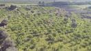 Terreno Agricolo in vendita a Noto - 10, Foto 10