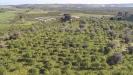 Terreno Agricolo in vendita a Noto - 05, Foto 5