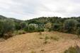 Terreno Agricolo in vendita a Noto in c.da saccollino snc - 10, Foto 10