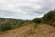 Terreno Agricolo in vendita a Noto in c.da saccollino snc - 03, Foto 3
