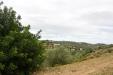 Terreno Agricolo in vendita a Noto in c.da saccollino snc - 04, Foto 4
