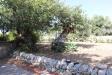 Villa in vendita con giardino a Noto in contrada san corrado fuori le mura - 07, Foto 7