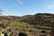 Terreno Agricolo in vendita a Avola in c.da bochini s.n.c - 03, Foto 3
