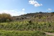 Terreno Agricolo in vendita a Avola in c.da bochini s.n.c - 05, Foto 5