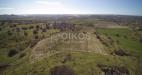 Terreno Agricolo in vendita a Noto in c.da renna 1 - 06, Foto 6