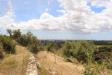 Terreno Agricolo in vendita a Noto in c.da san giovanni 1 - 05, Foto 5