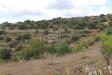 Terreno Agricolo in vendita a Noto in c.da san giovanni 1 - 10, Foto 10