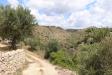 Terreno Agricolo in vendita a Noto in c.da san giovanni 1 - 08, Foto 8