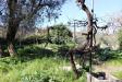 Terreno Agricolo in vendita a Noto in contrada porcari - 09, Foto 9