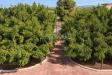 Villa in vendita con giardino a Noto in c.da san lorenzo sn - 05, Foto 5