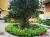 Appartamento in affitto ristrutturato a Roma - 02, 02.jpeg