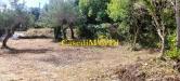 Terreno Agricolo in vendita a Livorno - montenero basso - 02