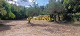 Terreno Agricolo in vendita a Livorno - montenero basso - 03