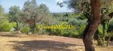 Terreno Agricolo in vendita a Livorno - montenero basso - 04