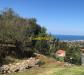 Terreno Agricolo in vendita a Livorno - montenero - 02